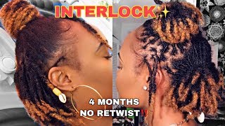 Finally RETIGHTENING After 4 MONTHS  7 months update INTERLOCKING LOCSDREAD Lunia Etienne [upl. by Suidualc]