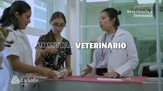 45 años Facultad de Medicina Veterinaria y Zootecnia UCE [upl. by Harned]