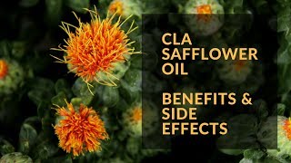 CLA Safflower Oil Benefits and Side Effects [upl. by Tien]