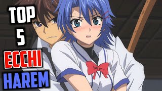 Top 5 Ecchi Harem Anime  HINDI [upl. by Enomys]