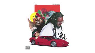 TPain  All I Want ft Flipp Dinero Official Audio [upl. by Eshelman]