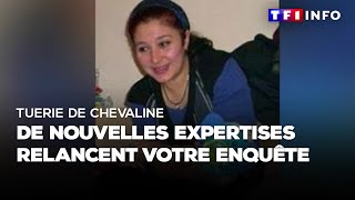 Tuerie de chevaline  de nouvelles expertises relancent votre enquête [upl. by Micah188]