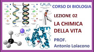 CORSO DI BIOLOGIA  Lezione 02  La chimica della Vita [upl. by Sida47]