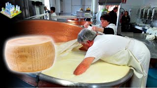 🧀Como se HACE el QUESO PARMESANO REGGIANO  INCREIBLES MAQUINAS de Elaboración de QUESO [upl. by Alica]