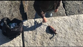 Fishing Off The Breakwater  Victoria BC [upl. by Eednam]