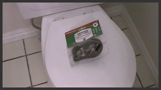 How to replace a toilet flapper [upl. by Moritz]