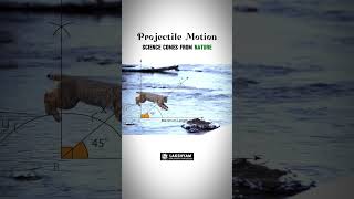 Projectile motion Example Video For Students  Lakshyam Coaching [upl. by Alexis468]