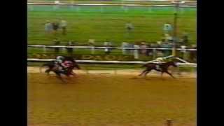 1979 Belmont Stakes  Coastal  CBS Broadcast [upl. by Ahseinad]