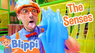 Blippi Learns the 5 Senses at a Play Place  Blippi Full Episodes  Educational Videos  Blippi Toys [upl. by Imhsar136]