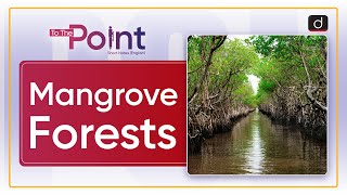 Mangroves Forests  To the Point  Drishti IAS English [upl. by Ahsaten541]