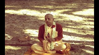 Three Hours  Srila Prabhupada Chanting Japa with Nature and birds  16 Rounds Maha Mantra [upl. by Attekram179]