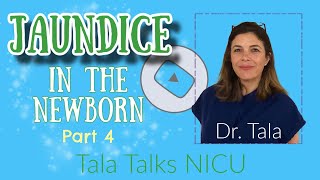 DIAGNOSIS AND TREATMENT of Hyperbilirubinemia Part 4  Tala Talks NICU [upl. by Nnylirret]