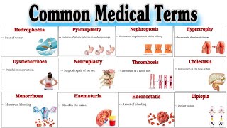 Common Medical Terms  Medical Terminology  Parts2 [upl. by Gracye581]