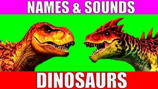 Dinosaurs Names and Sounds for Kids to Learn  Learn Dinosaur Names and Sounds for Children [upl. by Patterman834]