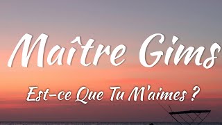 Maître Gims  Estce Que Tu Maimes  Lyrics  Vietsub [upl. by Fernandez]