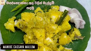 Manioc Mallum  මඤ්ඤොක්කා අල වලින් මැල්ලුම් හදමු Ape Rasa [upl. by Coe139]