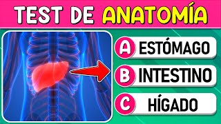 ¿Cuánto Sabes de quotANATOMÍAquot 🧠 TEST SOBRE EL CUERPO HUMANO TestTrivialQuiz [upl. by Nahbois]