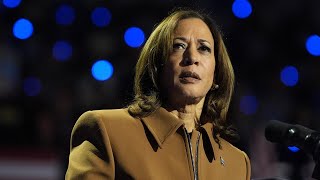 ‘Snowflake’ Kamala Harris freezes after heckler interrupts Michigan rally [upl. by Irt725]