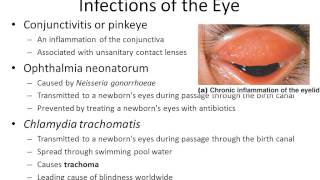 Bacterial Diseases of skin and nervous system  Dr Parkers Microbiology [upl. by Goldman]