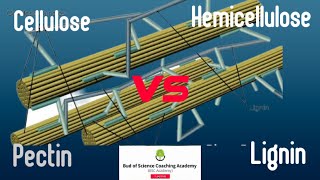 Comparision among cellulose hemicellulose Pectin and lignin  Composition structure and function [upl. by Nayab]