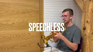 Speechless from Aladdin  Trumpet Cover [upl. by Uot]