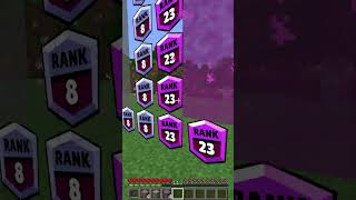 amazing nether portals at different ranks leads you shorts minecraft meme [upl. by Eenhpad]