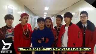 Block B 2015 HAPPY NEW YEAR LIVE SHOW 開催！！ [upl. by Gnart]