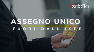 Assegno unico fuori dallISEE [upl. by Aizirtap]