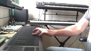 ROLI Seaboard Rise 49 guitar solo [upl. by Etnoved]