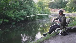 Tricking Big Canal Fish With This Simple Overlooked Method [upl. by Inatirb]