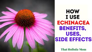 How I Use Echinacea [upl. by Malcah]