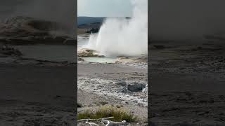 Clepsydra Geyser Yellowstone National Park [upl. by Ecarg]