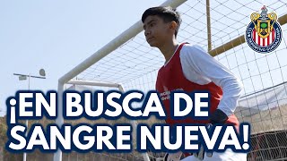 CHIVAS INICIÓ VISORIAS EN BUSCA DE SANGRE NUEVA [upl. by Cr]