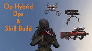 Best Hybrid Dps Skill Build For The Division 2 [upl. by Johnstone]