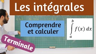 Les intégrales [upl. by Ailuy]