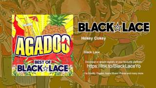 Black Lace  Hokey Cokey [upl. by Hak538]