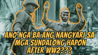 ANO NGA BA ANG NANGYARI SA MGA SUNDALONG HAPON AFTER WW2 [upl. by Ecnarf]