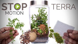 Terrarium build in stop motion [upl. by Redmond510]