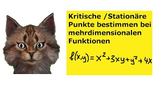 Stationäre  kritische Punkte bestimmen einer mehrdimensionalen Funktion [upl. by Airdnaed]