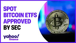 SEC approves spot bitcoin ETFS [upl. by Ricoriki]