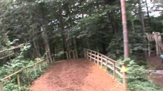 Go Ape Zip Wire Bedgbury Forest [upl. by Enala]