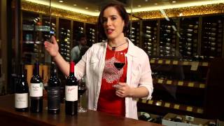 Pinot Noir Merlot Cabernet Sauvignon Shiraz Syrah  Red Wine Guide [upl. by Skeie563]