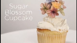 Maggie Austins Sugar Flower Cupcake Topper  Project Cupcake Craftsy Cake Decorating [upl. by Ayotol234]