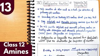 13 Carbylamine reaction Isocyanide Test or Carbylamine Test Test for 1° primary amine Class12 [upl. by Nosidda]