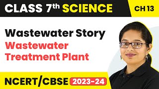 Wastewater Treatment Plant  Wastewater Story  Class 7  Science  Chapter 13 [upl. by Iaw]