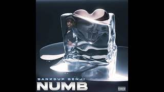 BANKD UP BENJI quot NUMB quot [upl. by Yednarb]