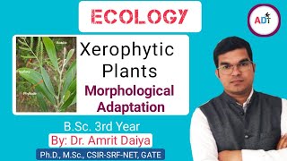 Morphological Adaptation in Xerophyte plants आकारिकी अनुकूलन DrAmrit Daiya 480p [upl. by Ogg]