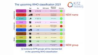 Ependymoma Molecular Groups Explained [upl. by Past]