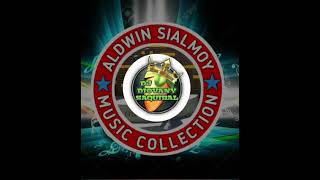 NONSTOP DISCO REMIX VOL2ALDWIN SIALMOY MUSIC COLLECTION DJ DIOVANY SAQUIBAL TEAM PAKAW [upl. by Johna]