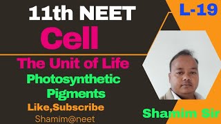 CellThe Unit of Life Class 11Photosynthetic PigmentsShamimneet [upl. by Cornwell]